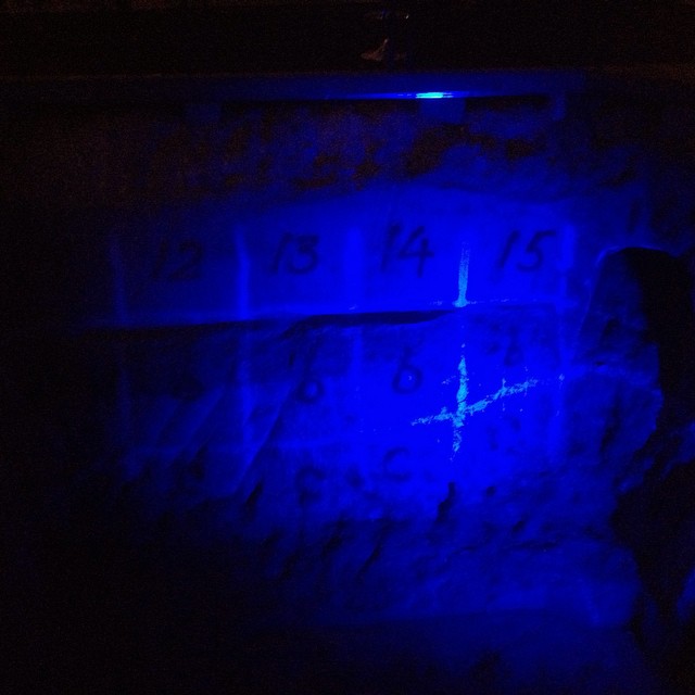 12316579_10153435382338757_6456375252185513577_n