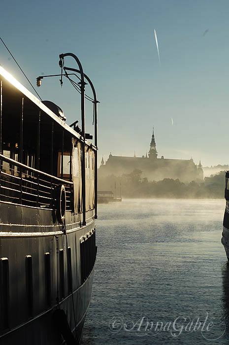 dimma_10153341811748757_6258713273157243653_n