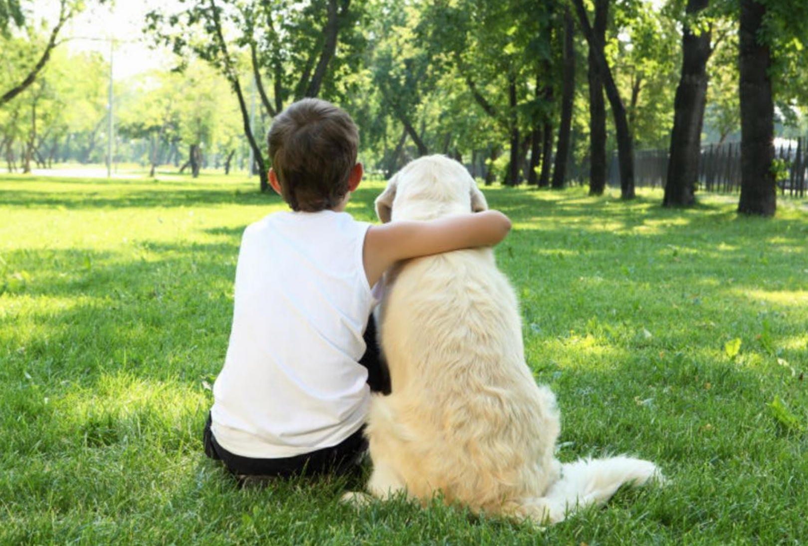 Screenshot 2019-07-08 at 09.41.02.png