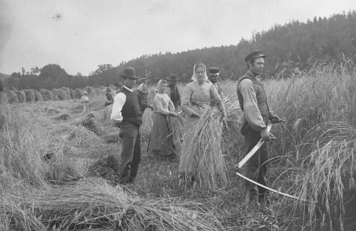 Screenshot 2020-02-03 at 18.24.40