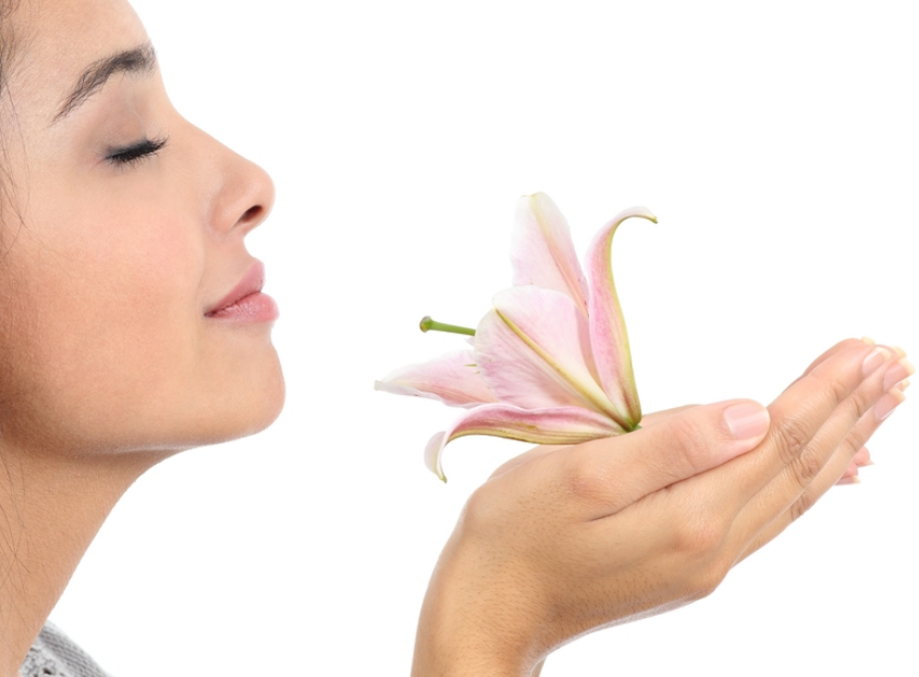 Screenshot 2020-08-13 at 10.31.15